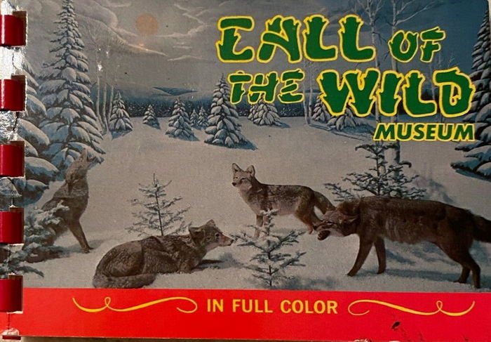 Call of the Wild - Old Mini Book (newer photo)